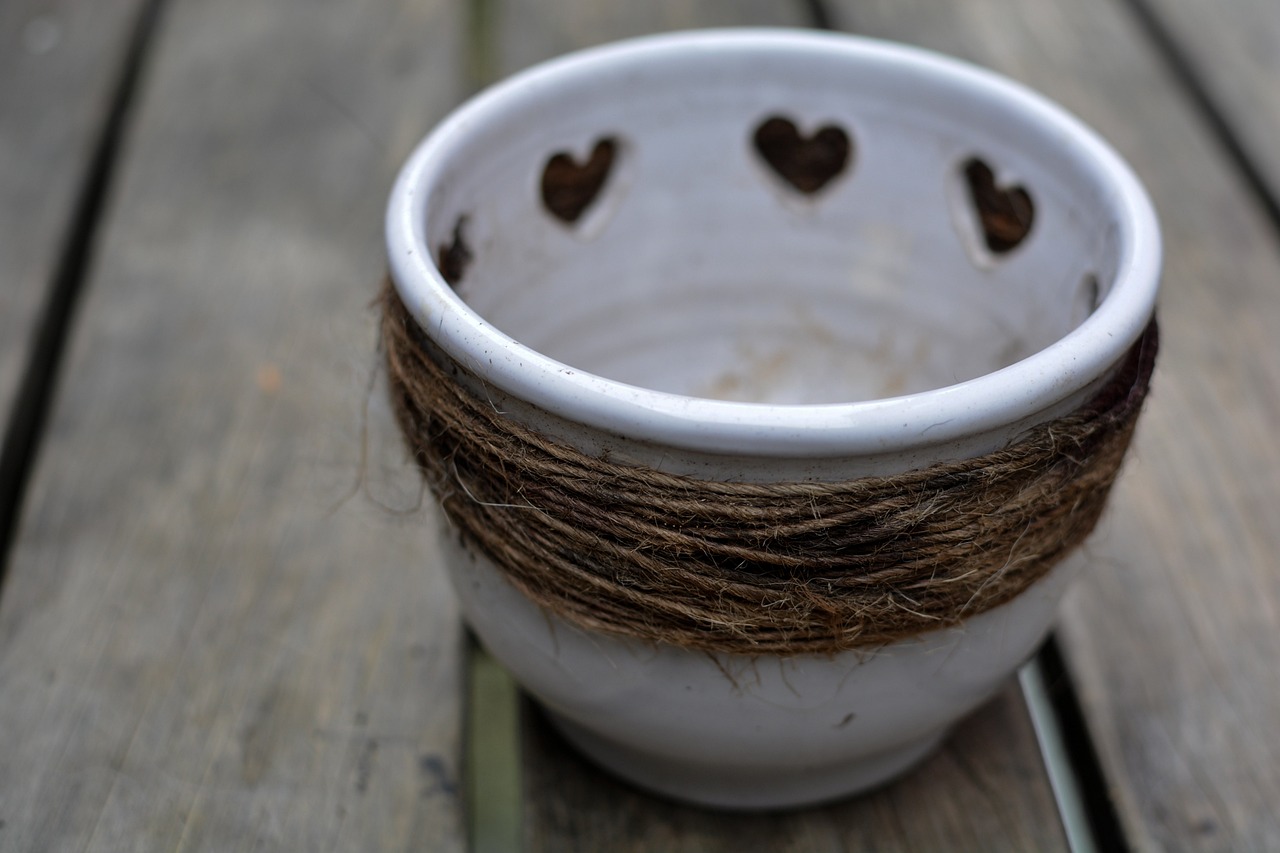 How Gardening Can Help Combat Climate Change?